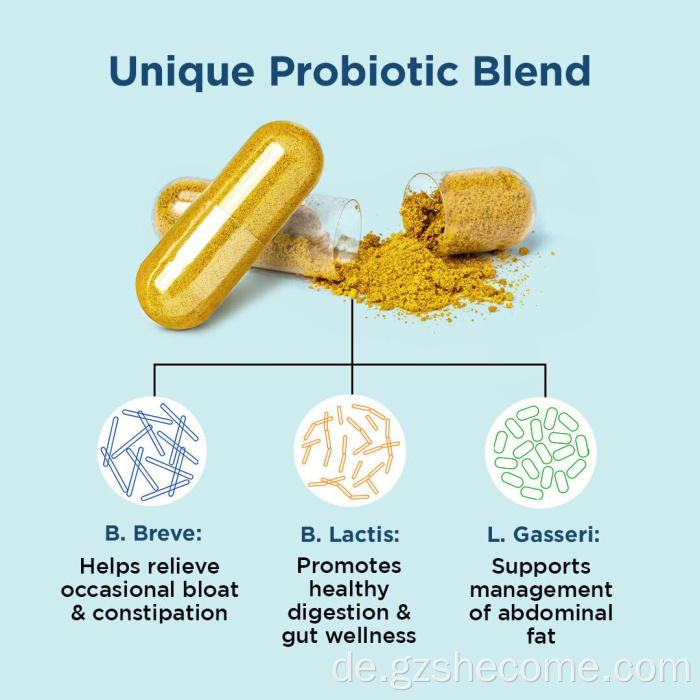 Provitalisierung Probiotika Ergänzung Wechseljahresverdauung Gesundheit